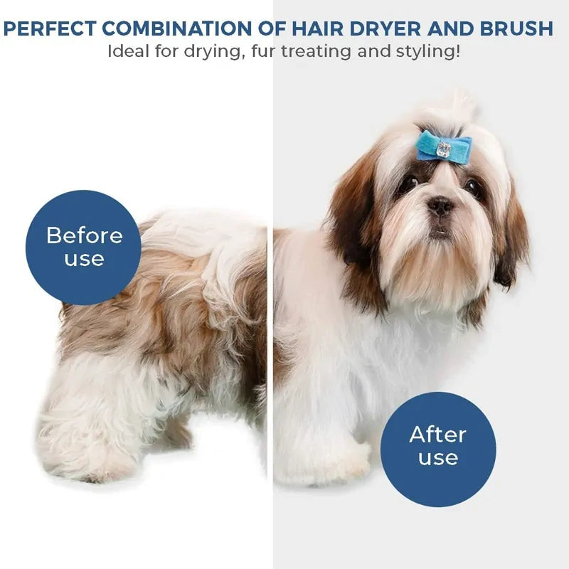 Pet Hair Dryer