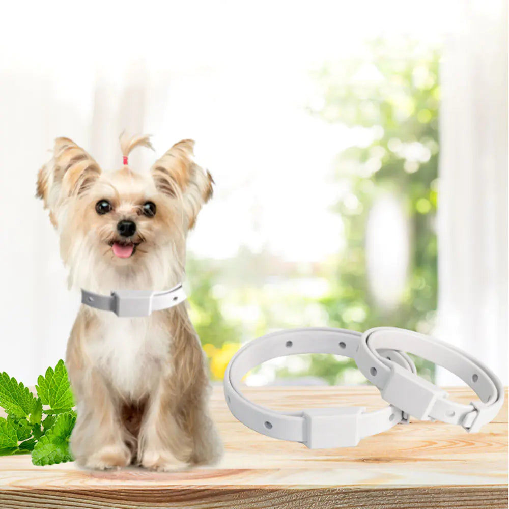 Tick Repellent Pet Collar