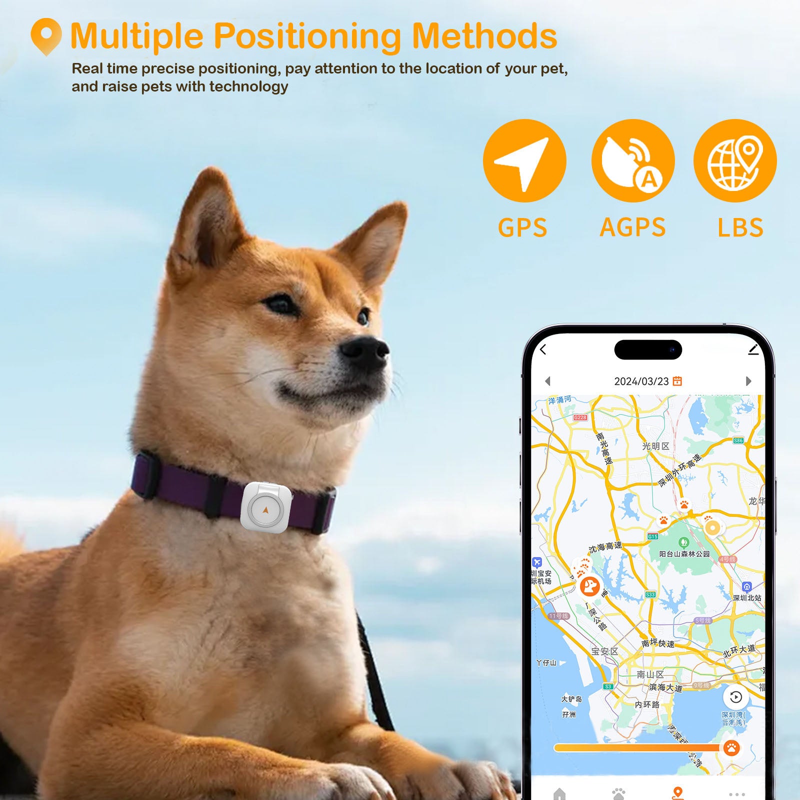 Whisker Dog GPS